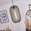Jacinta Pendant Light black, 1-light source