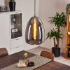Alvares Pendant Light chrome, 1-light source