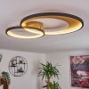 Tuzik Ceiling Light LED gold, black, 1-light source