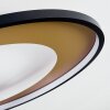 Tuzik Ceiling Light LED gold, black, 1-light source
