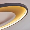 Tuzik Ceiling Light LED gold, black, 1-light source