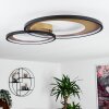Tuzik Ceiling Light LED gold, black, 1-light source