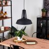 Chimay Pendant Light black, 1-light source