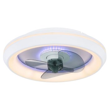 Globo JOEY ceiling fan LED white, 1-light source, Remote control