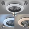 Reality Stralsund ceiling fan LED black, 1-light source, Remote control