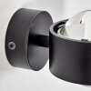 Sapri Wall Light black, 1-light source