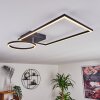 Moya Ceiling Light LED black, 1-light source