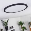 Boyero Ceiling Light LED black, 1-light source