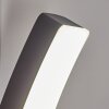 Maseru Outdoor Wall Light LED anthracite, 1-light source
