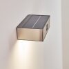 outdoor wall light LED matt nickel, 1-light source