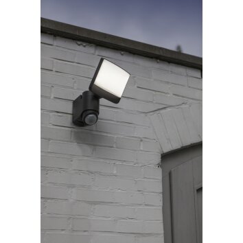 Lutec SUNSHINE Outdoor Wall Light LED anthracite, 1-light source, Motion sensor