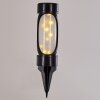 Solar light Lakeland LED anthracite, 1-light source