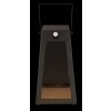 Globo SOLAR solar light LED black, 1-light source