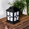 FOLGARIDA solar light LED black, 64-light sources