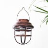 HANGZHOU solar light LED rust-coloured, transparent, clear, 1-light source