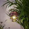 HANGZHOU solar light LED rust-coloured, transparent, clear, 1-light source