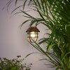 HANGZHOU solar light LED rust-coloured, transparent, clear, 1-light source