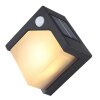 Globo Solar Outdoor Wall Light LED black, 8-light sources, Motion sensor