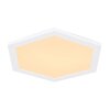 Globo LEANARA Ceiling Light LED white, 1-light source