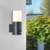Brillliant Aberdeen Outdoor Wall Light black, 1-light source, Motion sensor