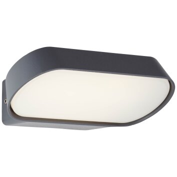 Brillliant Samira Outdoor Wall Light LED black, 1-light source
