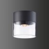LCD 5068 outdoor ceiling light LED black, 1-light source