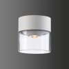 LCD 5069 outdoor ceiling light LED white, 1-light source