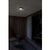 Lutec Helena outdoor ceiling light LED anthracite, 1-light source