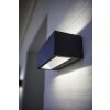 Lutec GEMINI Outdoor Wall Light LED anthracite, 2-light sources, Colour changer