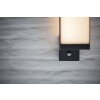 Lutec CUBA Outdoor Wall Light LED anthracite, 1-light source, Motion sensor