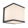 Lutec Doblo Outdoor Wall Light LED anthracite, 1-light source