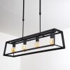 Foss Pendant Light black, 4-light sources