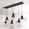 Coapilla Pendant Light black, 6-light sources