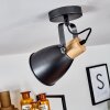 Elm Ceiling Light anthracite, Light wood, 1-light source