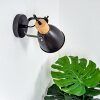 Elm Wall Light anthracite, Light wood, 1-light source