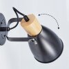 Elm Wall Light anthracite, Light wood, 1-light source