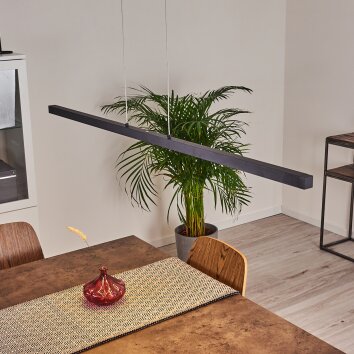 Mattawan Pendant Light LED black, 1-light source