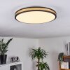 Kirtland Ceiling Light LED gold, black, 1-light source