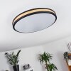 Kirtland Ceiling Light LED gold, black, 1-light source