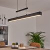 Ifo Pendant Light LED black, 1-light source