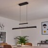 Ifo Pendant Light LED black, 1-light source