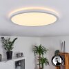 Boyero Ceiling Light LED white, 1-light source
