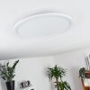 Boyero Ceiling Light LED white, 1-light source