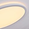 Boyero Ceiling Light LED white, 1-light source