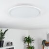 Boyero Ceiling Light LED white, 1-light source