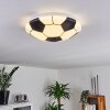 Point Ceiling Light LED white, 1-light source