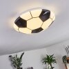 Point Ceiling Light LED white, 1-light source