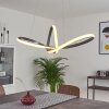 Ignal Pendant Light LED matt nickel, 1-light source