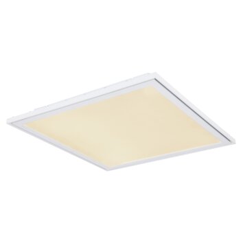 Globo SAMU Ceiling Light LED white, 1-light source, Remote control, Colour changer