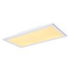 Globo SAMU Ceiling Light LED white, 1-light source, Remote control, Colour changer